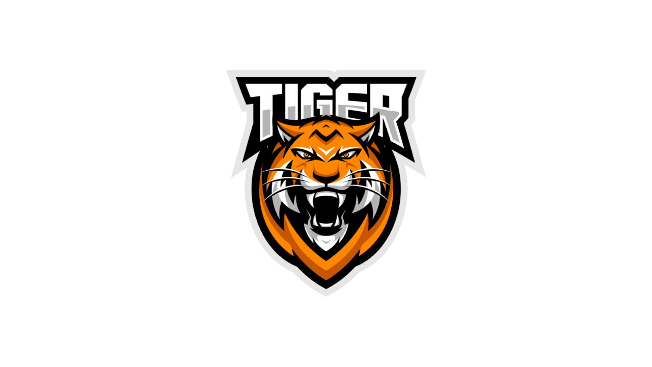 hang4u 將會為TIGER 臨時出戰DreamHack Open Summer 2020亞洲預選賽